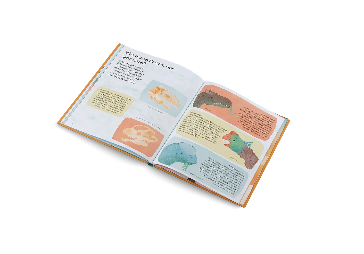 Kleine Gestalten Frag mich was über Dinosaurier Kinderbuch