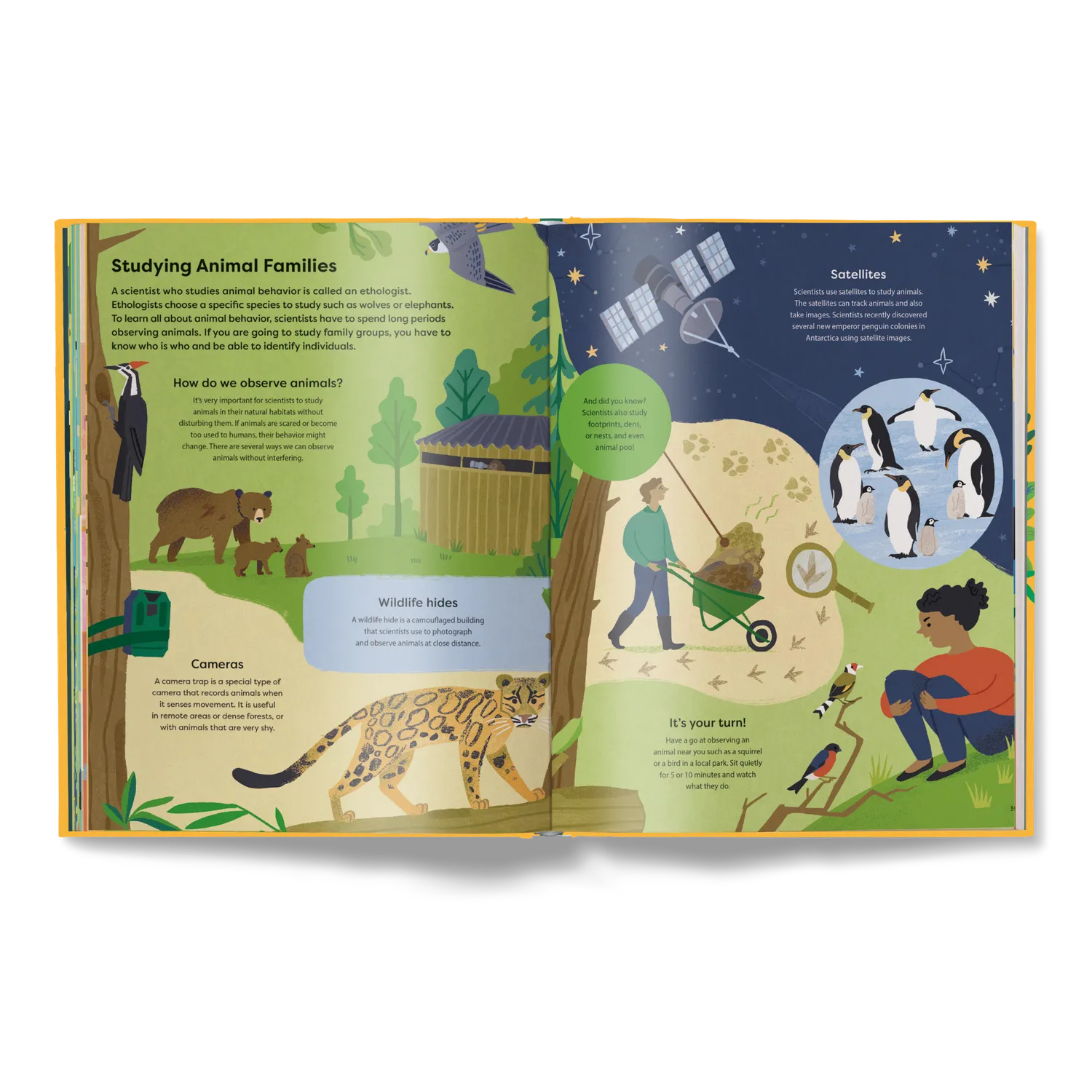 Little Gestalten Home Is Where the Herd Is Kinderbuch Tiere