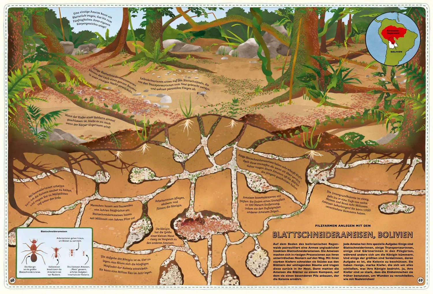 Little Gestalten Der große Atlas der Tiere Sachbuch Kinder