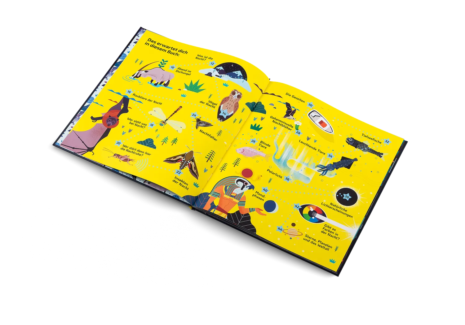 Gestalten Nachtaktiv Kinderbuch Nachttiere ab 7 Jahren