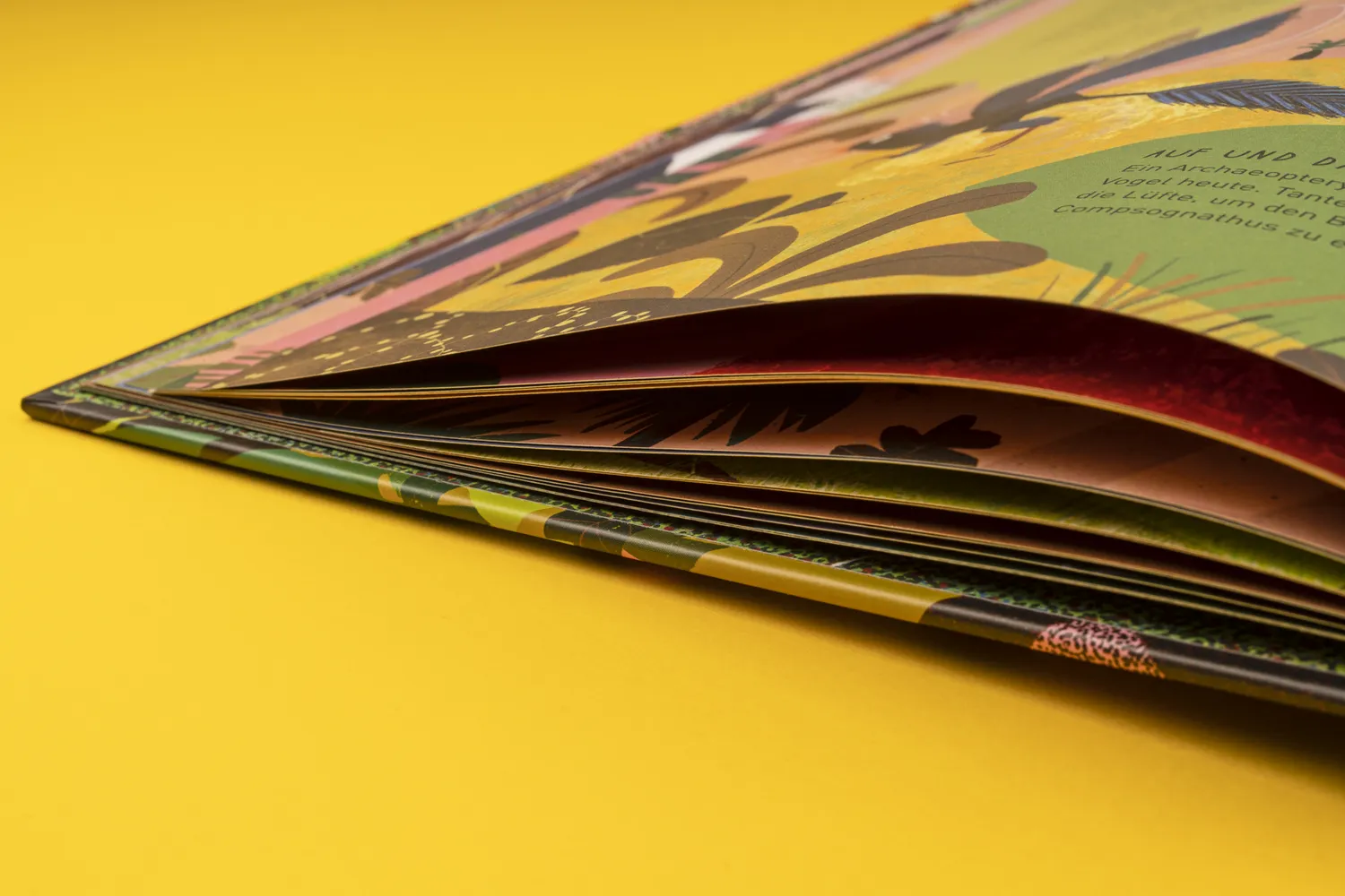 Seemann Henschel Tony T-Rex Bilderbuch Dinosaurier Wissen