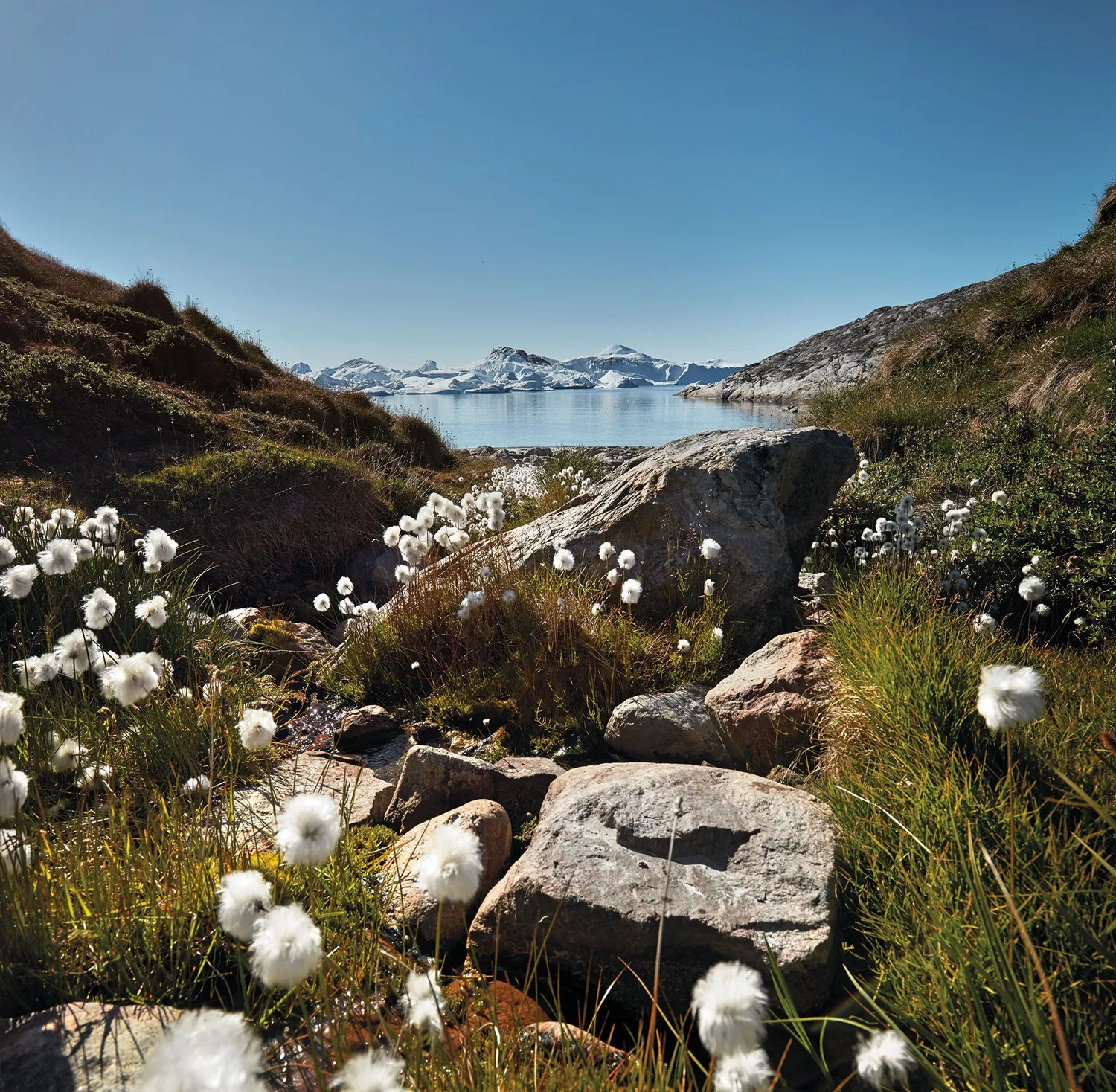 Gestalten Nordic By Nature Kochbuch 30 Köche