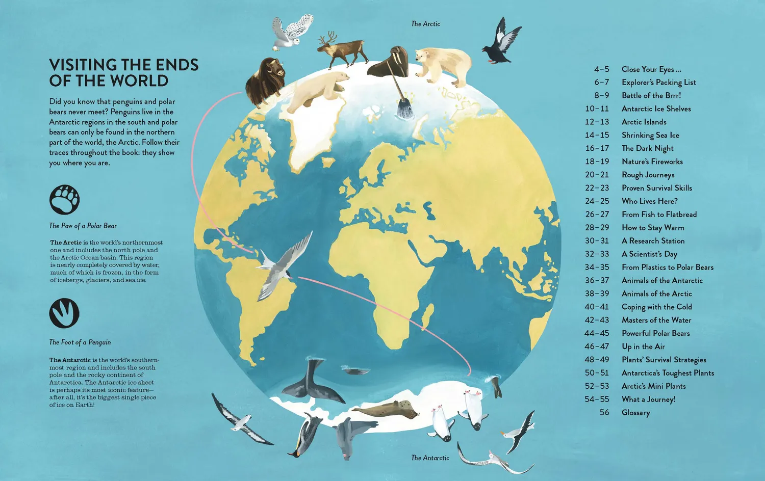 Gestalten Penguins and Polar Bears Sachbuch Polarwissen