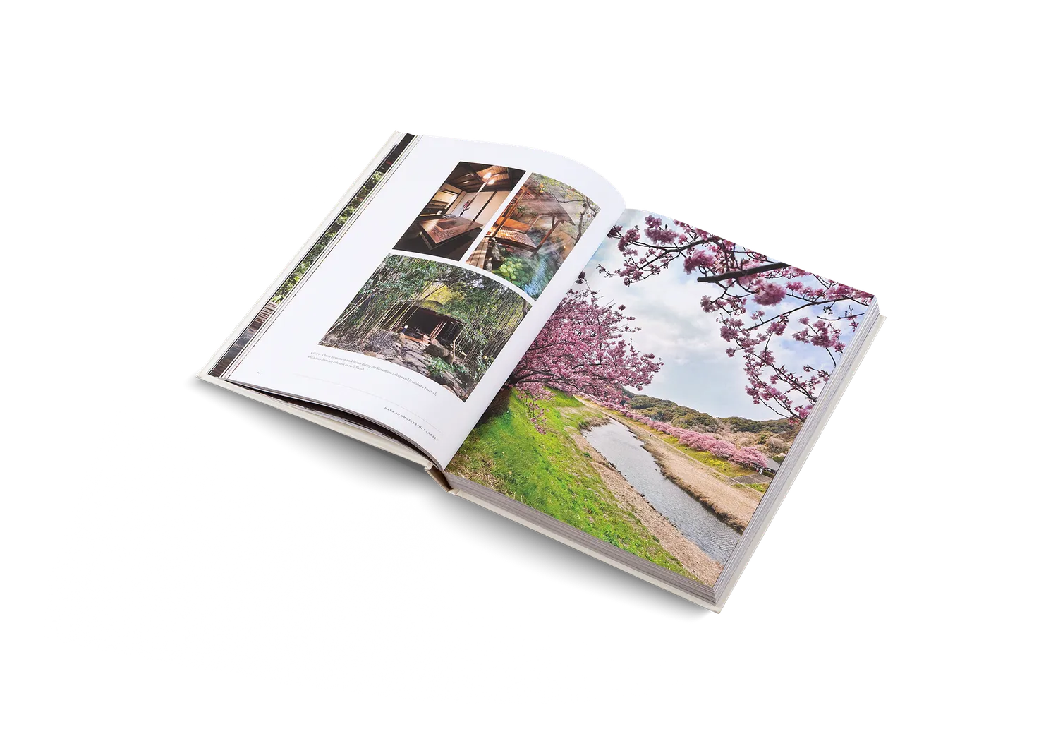 Gestalten Onsen and Ryokan of Japan Bildband Wellness
