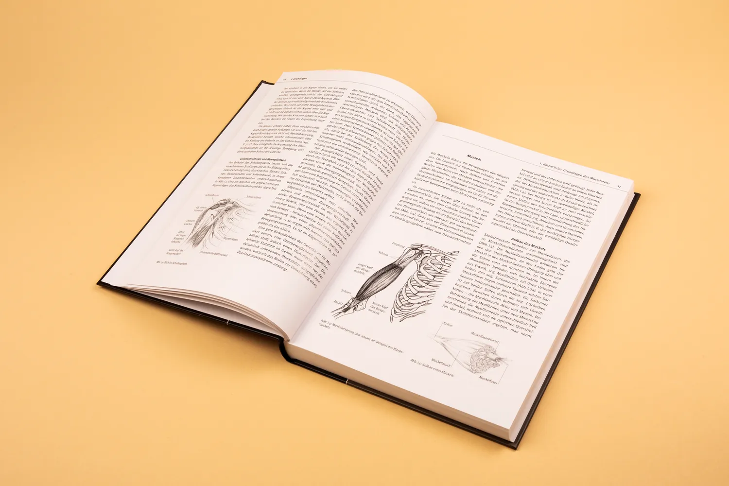 Seemann Henschel Musikergesundheit in der Praxis Buch