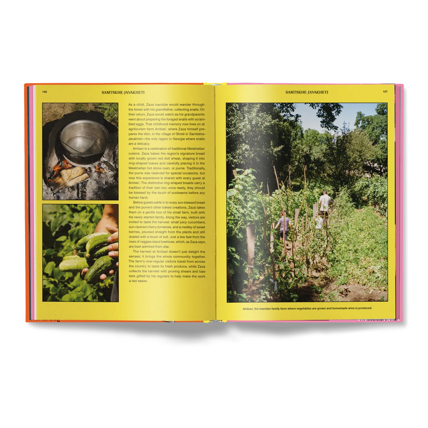Gestalten Of Soil & Smoke Kochbuch Georgien Rezepte