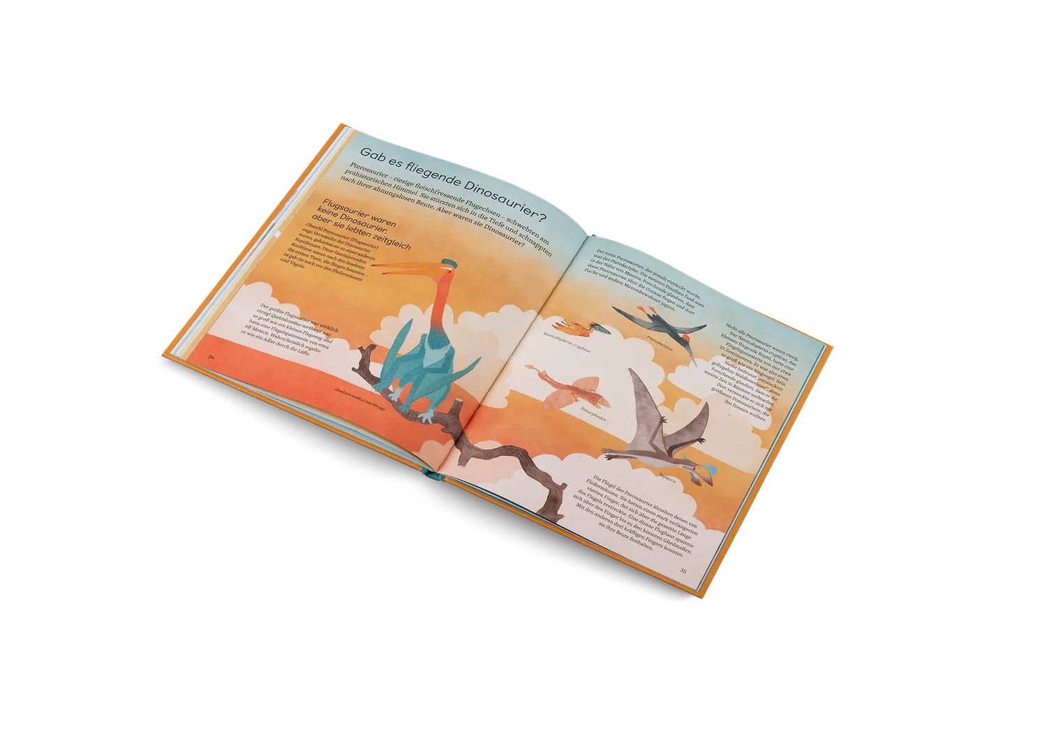Kleine Gestalten Frag mich was über Dinosaurier Kinderbuch
