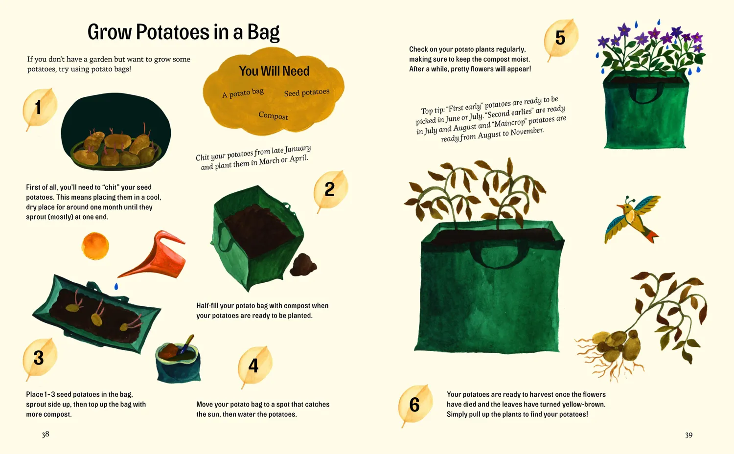 Gestalten Little Green Fingers Kinderbuch Garten