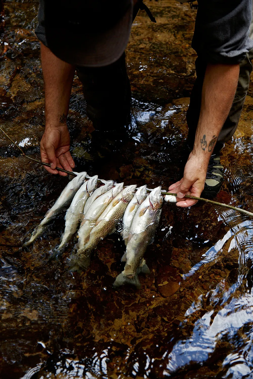 Gestalten The Fly Fisher Bildband Fliegenfischen Natur