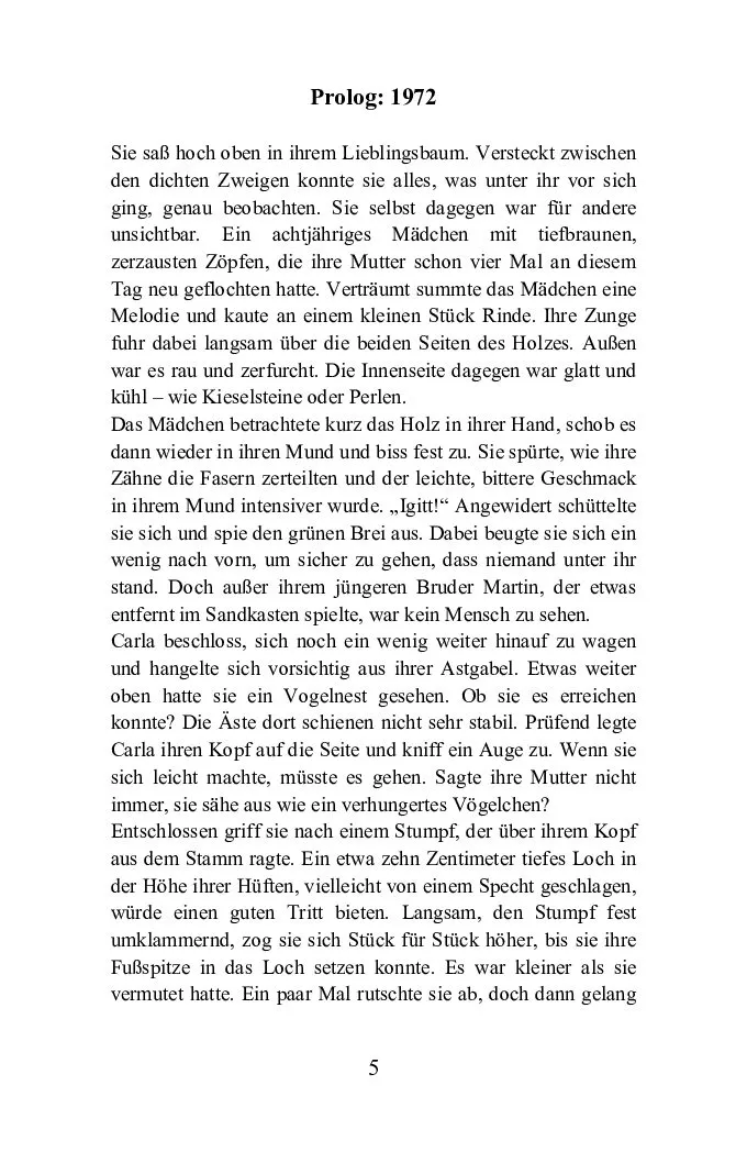 Isensee Literatur Carlas Flügel Buch Roman