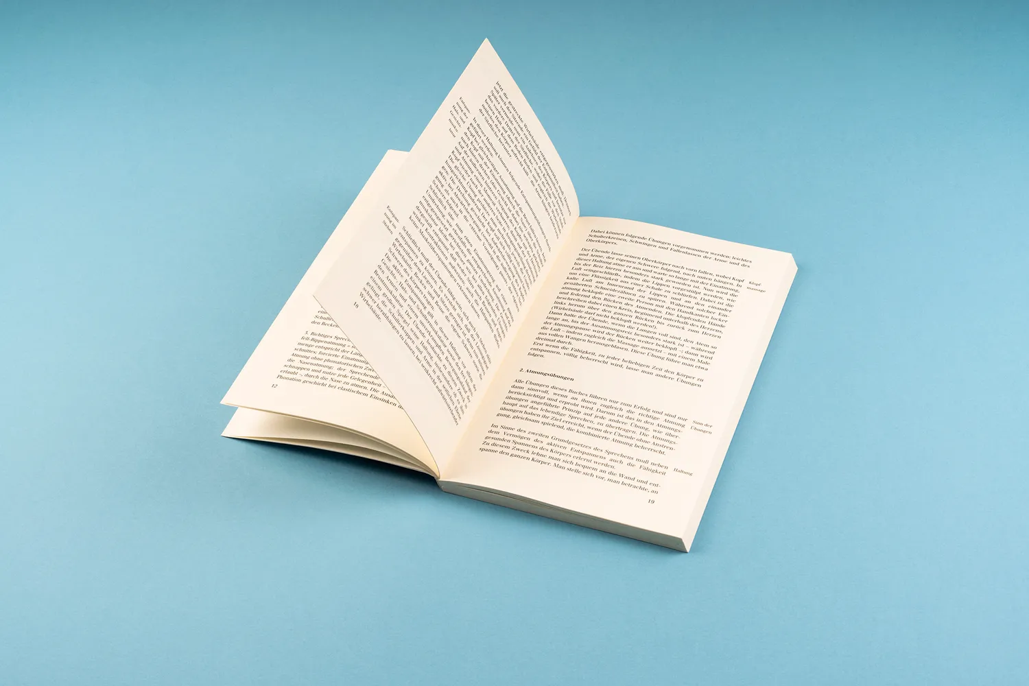 Seemann Henschel Sprecherzieherisches Übungsbuch Stimmbildung