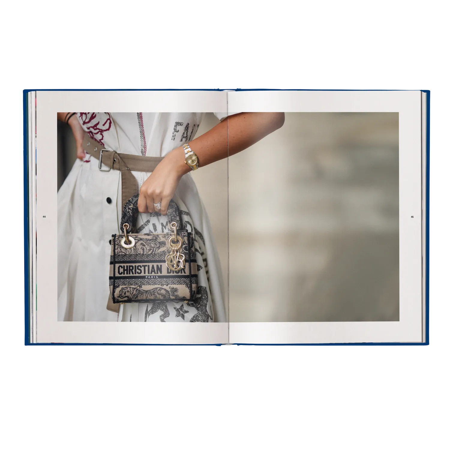 teNeues Dior Bags Der ultimative Guide Bildband Handtaschen