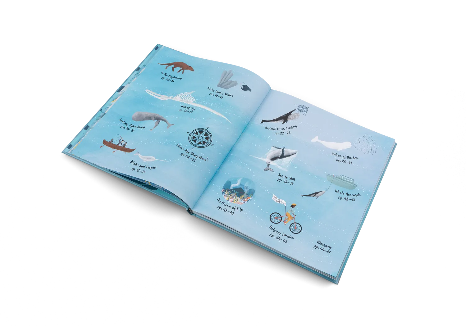 Gestalten The World of Whales Kinderbuch Wale 5-7 Jahre