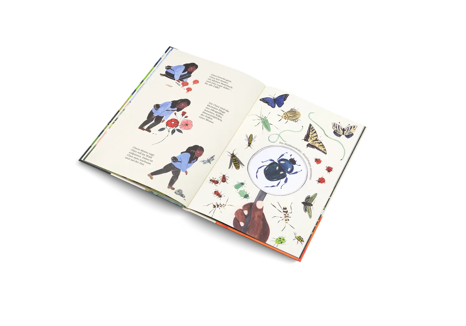 Kleine Gestalten Der wundersame Weg Bilderbuch Natur