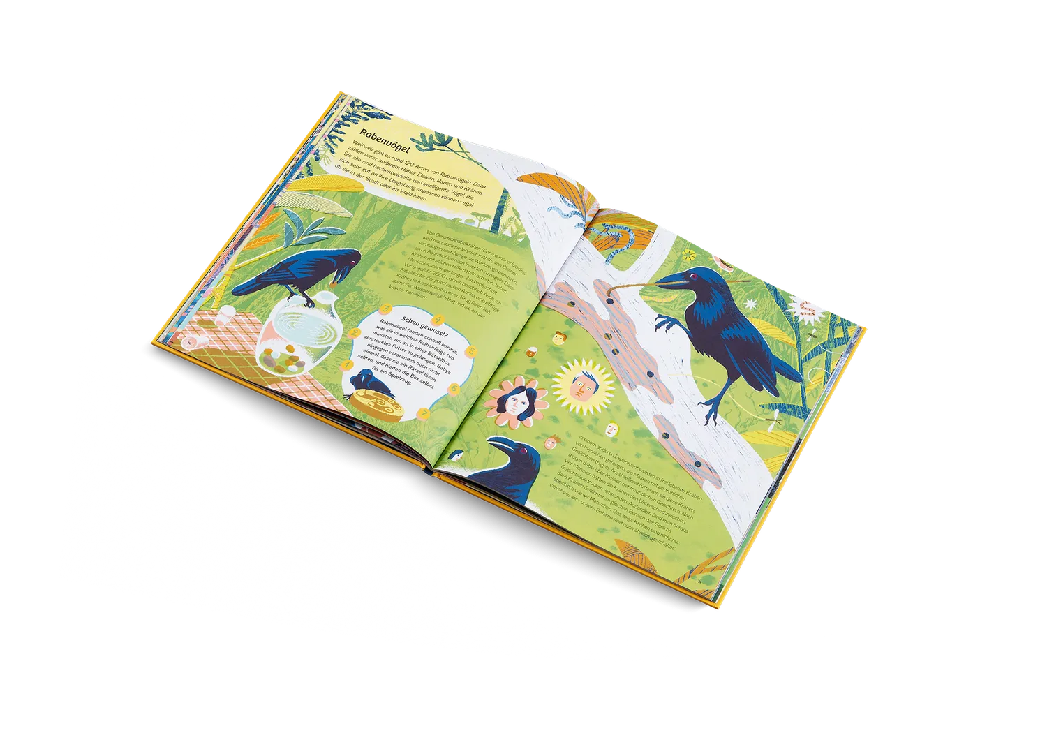 Kleine Gestalten Ganz schön schlaue Tiere Kinderbuch ab 5 Jahren