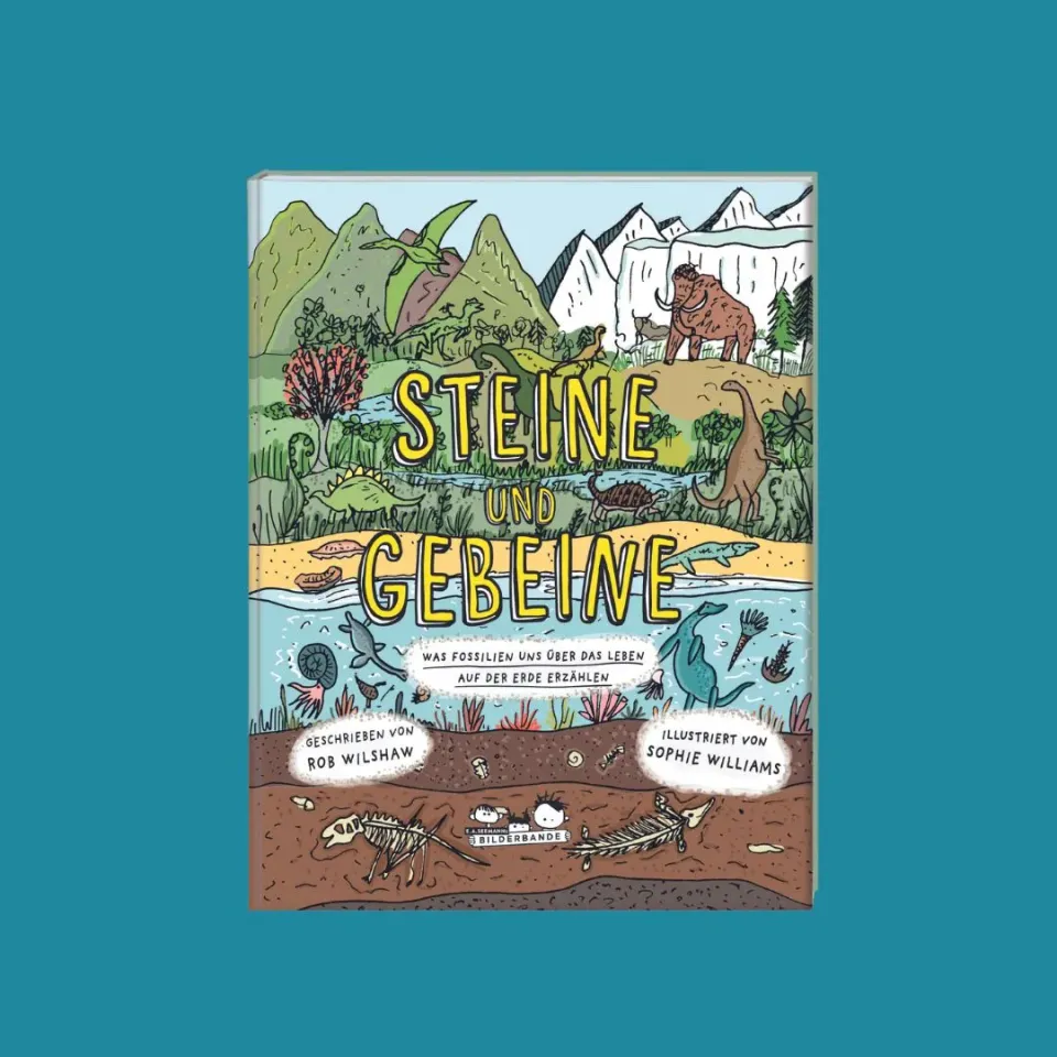 Seemann Henschel Steine und Gebeine Kinderbuch ab 8