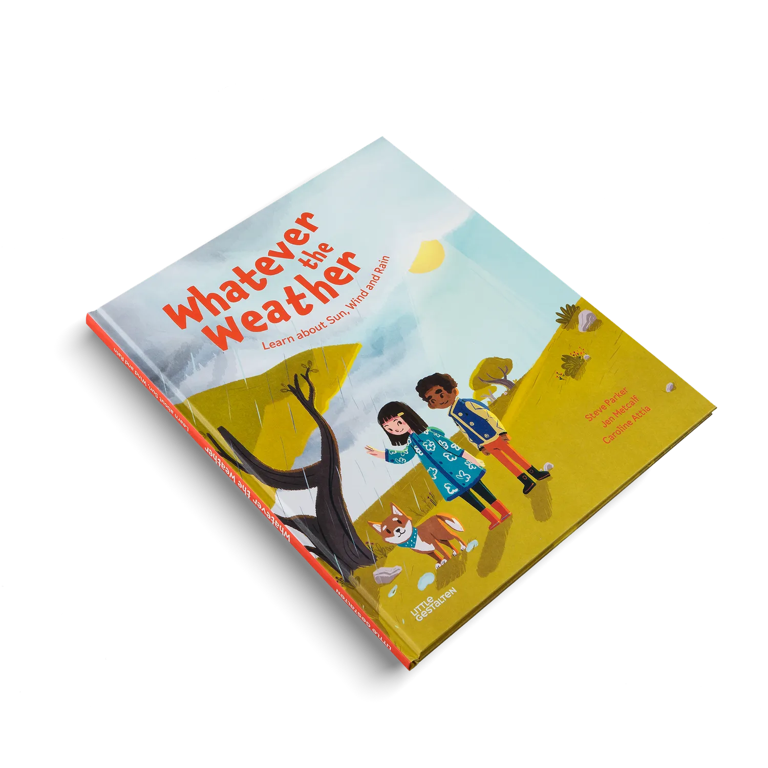 Gestalten Whatever the Weather Kinderbuch Wetter 9-11 Jahre