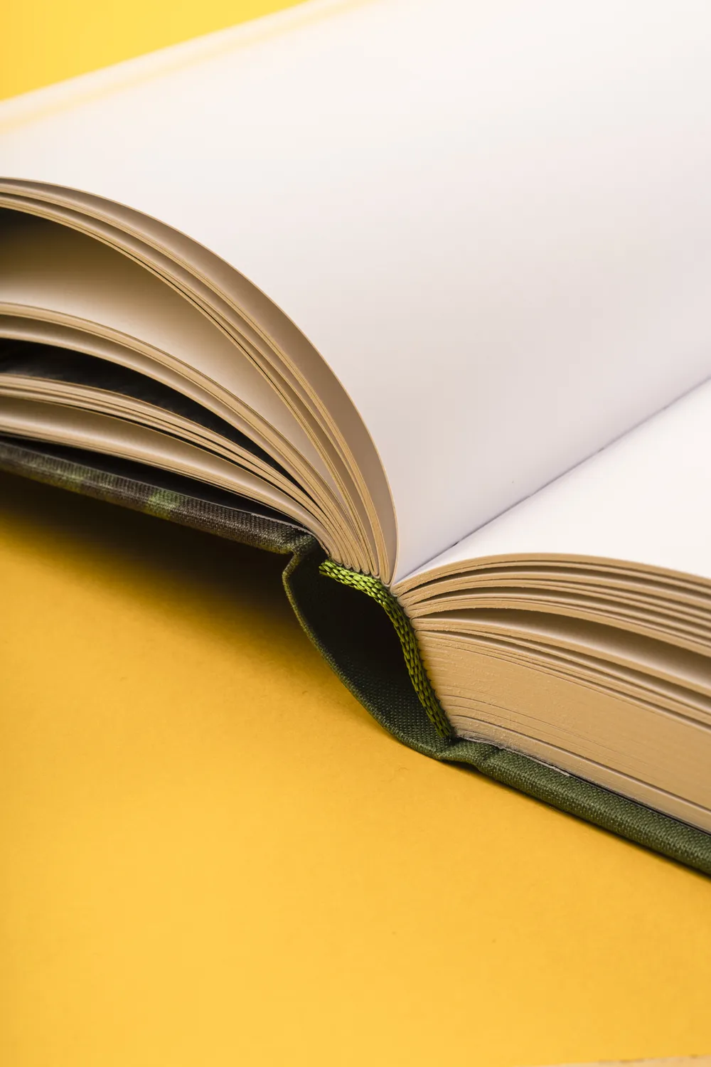 Seemann Henschel Otto Mueller Catalogue Raisonné Werkverzeichnis