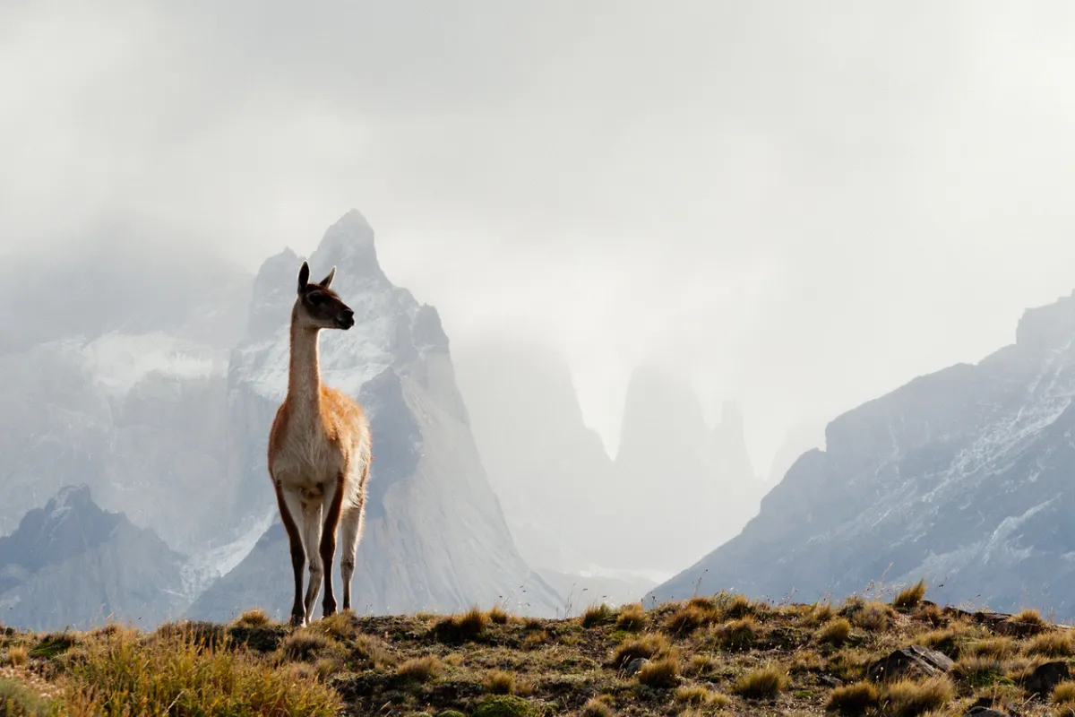 Gestalten Wanderlust Compact Edition Bildband Wandern