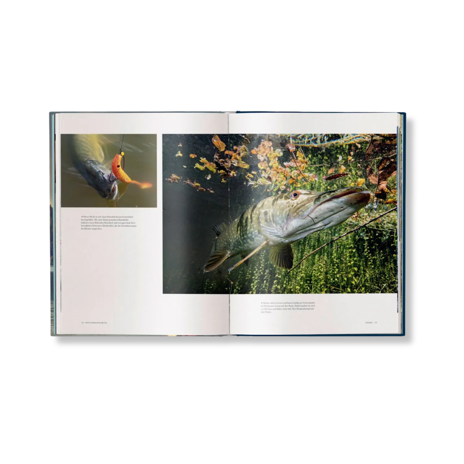 Gestalten Angeln Das ultimative Buch Bildband Geschenk