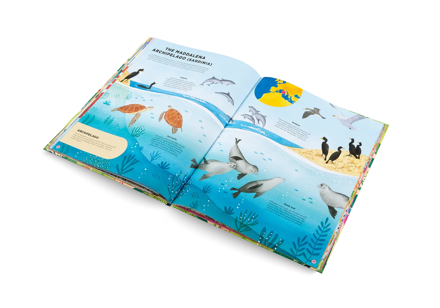 Little Gestalten Animals Everywhere Kinderbuch Artenvielfalt 7 Jahre