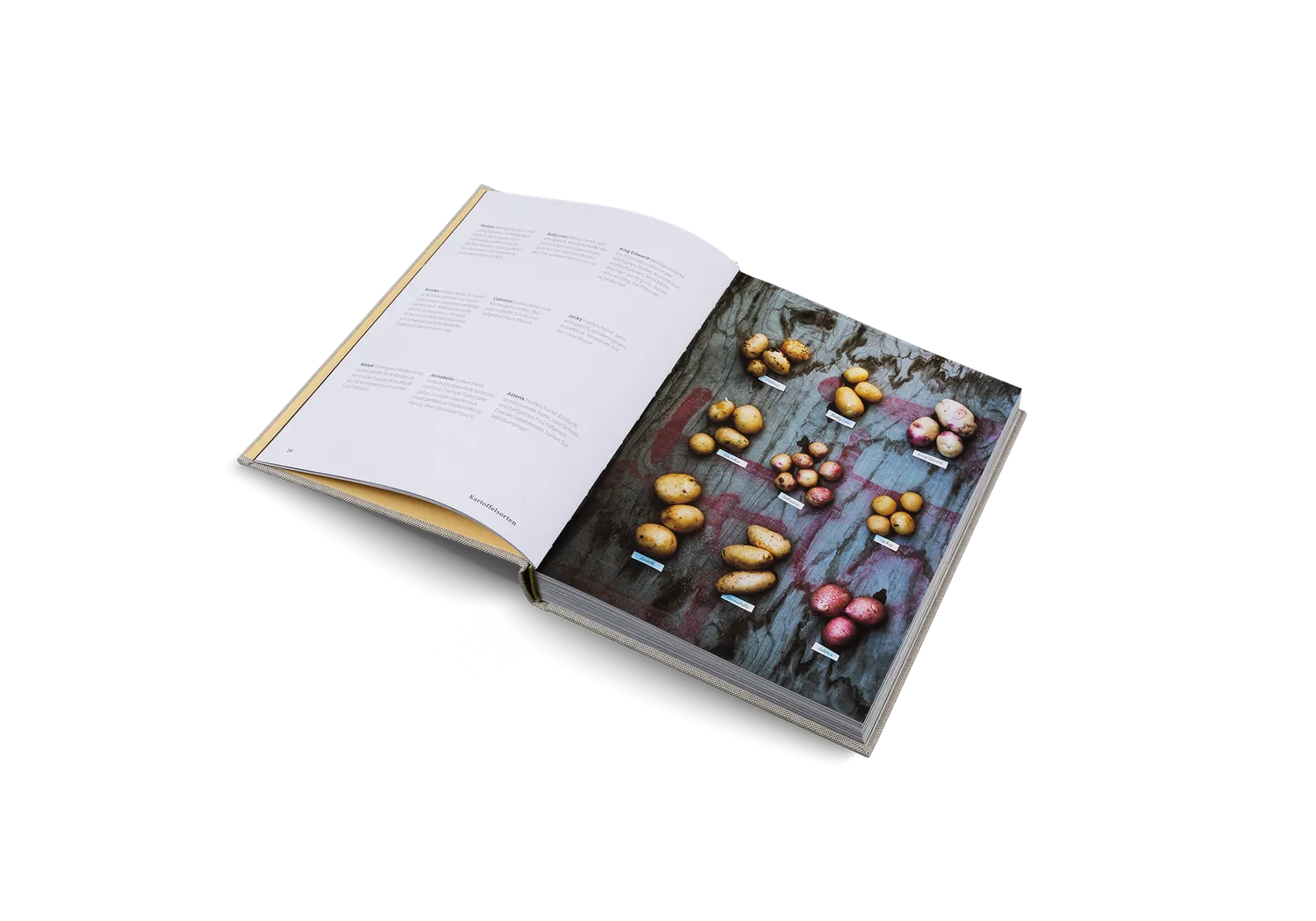 Gestalten Kartoffelküche Kochbuch 90 Rezepte gebunden
