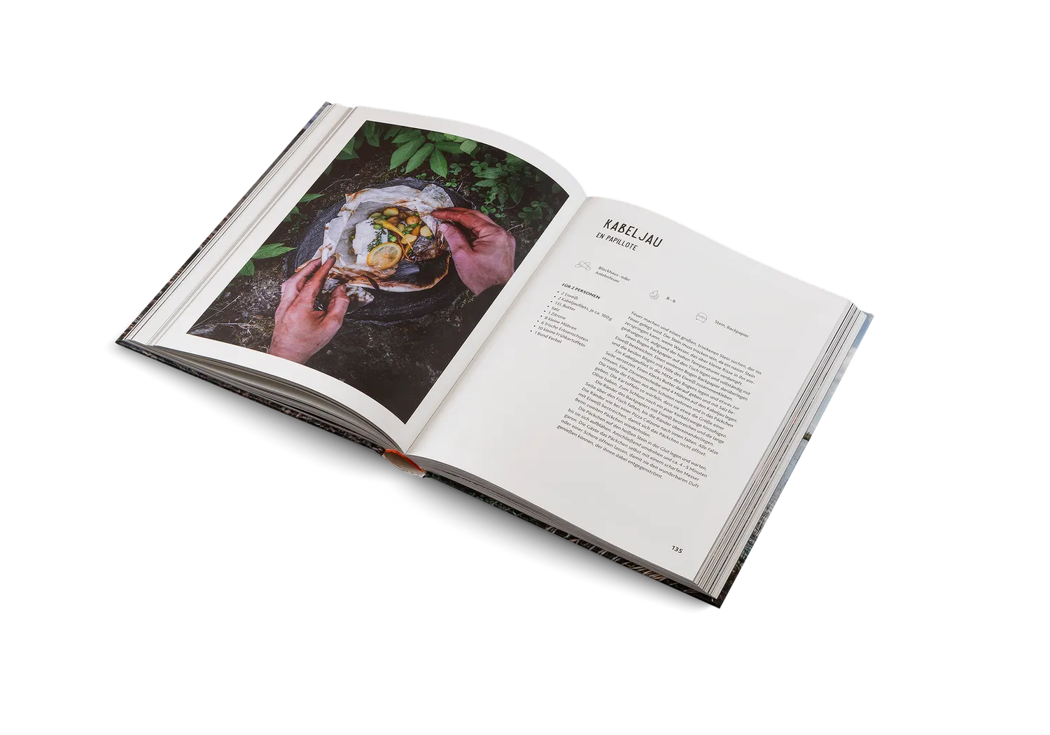 Gestalten Kochen mit Feuer Kochbuch Outdoor-Feuerküche