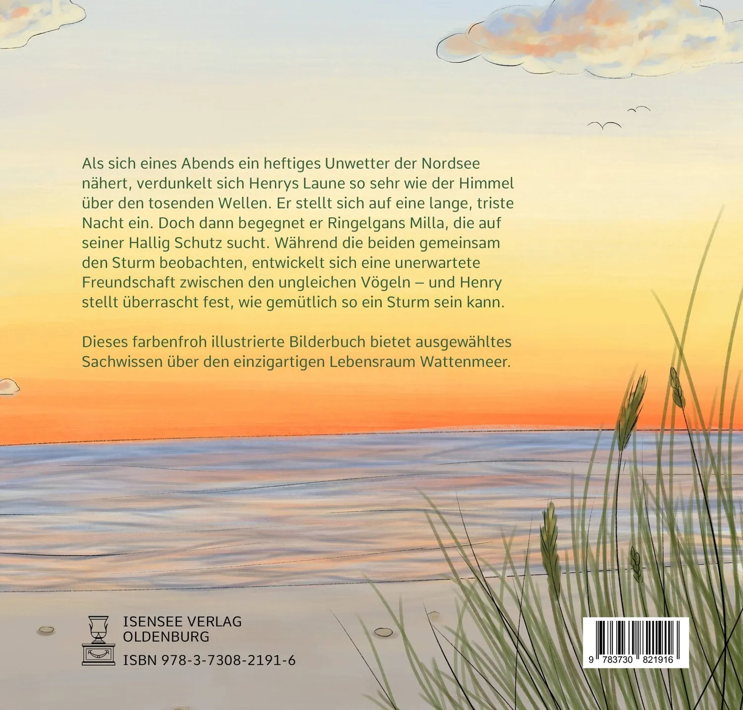 Isensee Literatur Eine besondere Begegnung im Watt Bilderbuch
