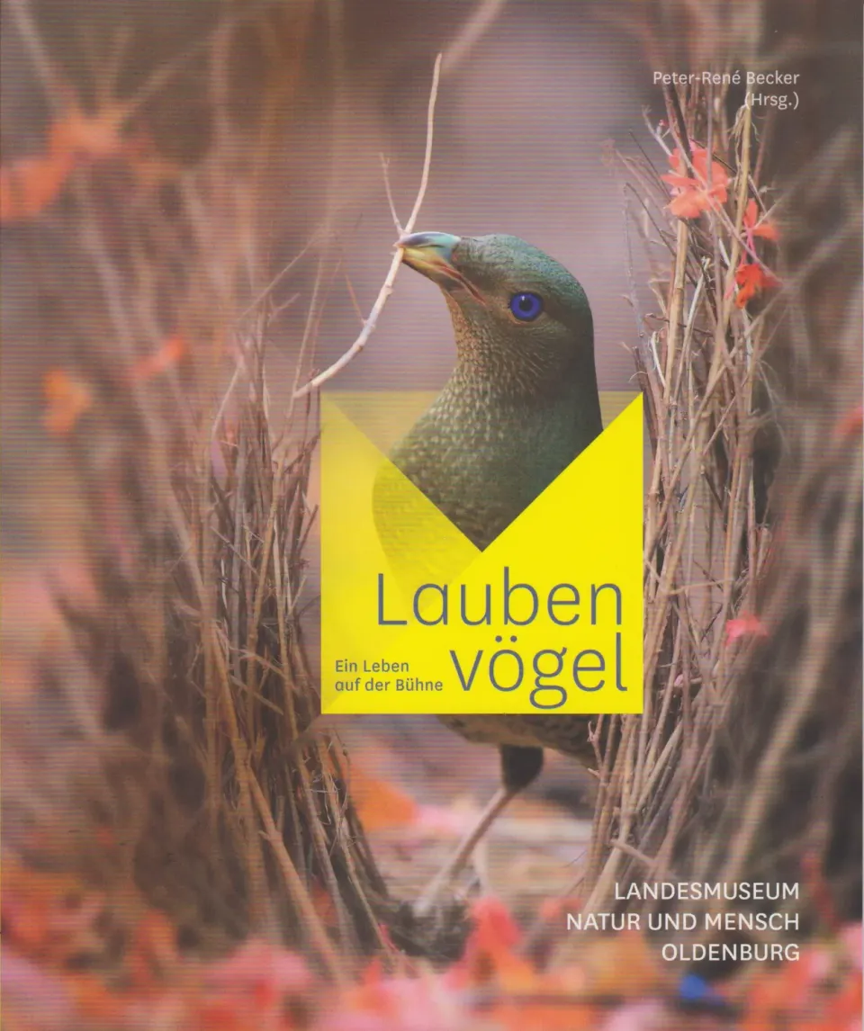 Isensee Literatur Laubenvögel Buch Singvögel