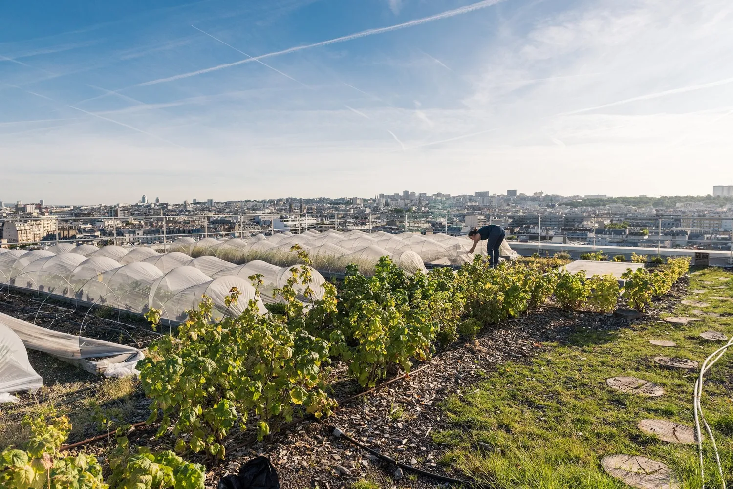 Gestalten Fermiers Urbains Sachbuch französische Ausgabe Urban Farming