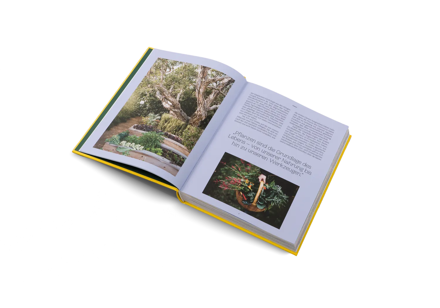 Gestalten Der Garten Eden Bildband gebunden Garten
