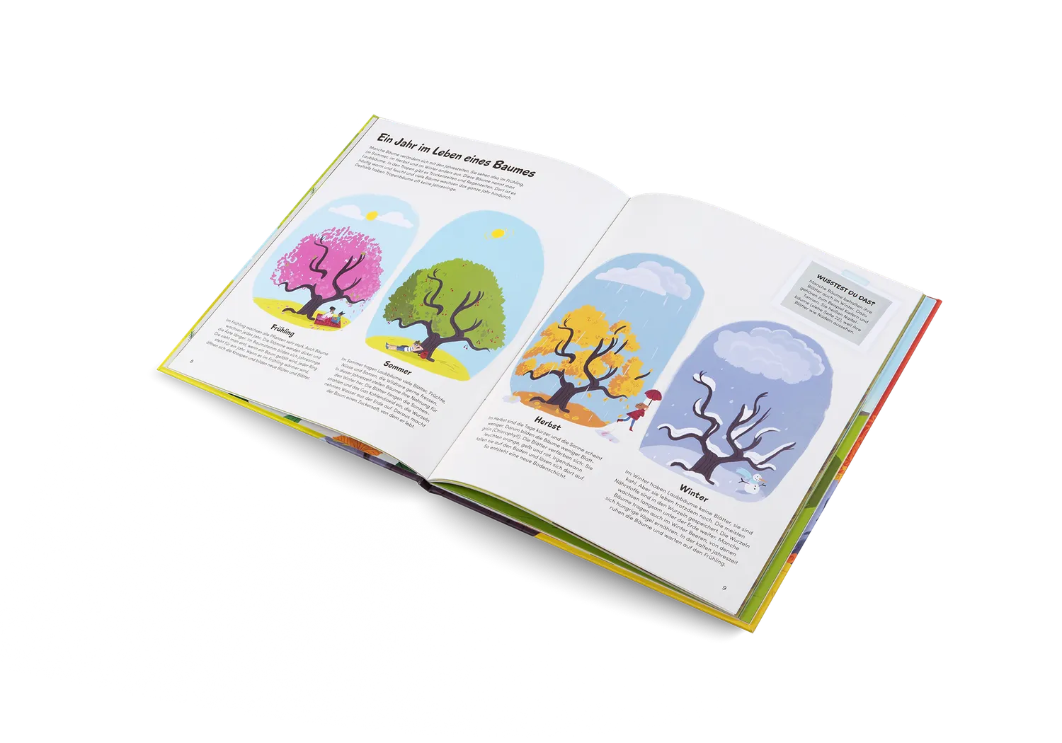 Gestalten Das kleine Buch der Bäume Kinderbuch Natur