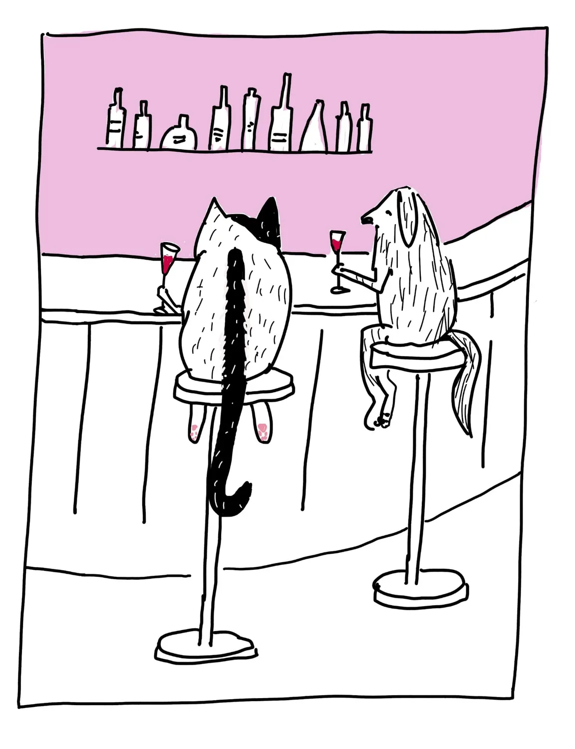 Isensee Literatur Mütze mal wieder! Buch Katzen