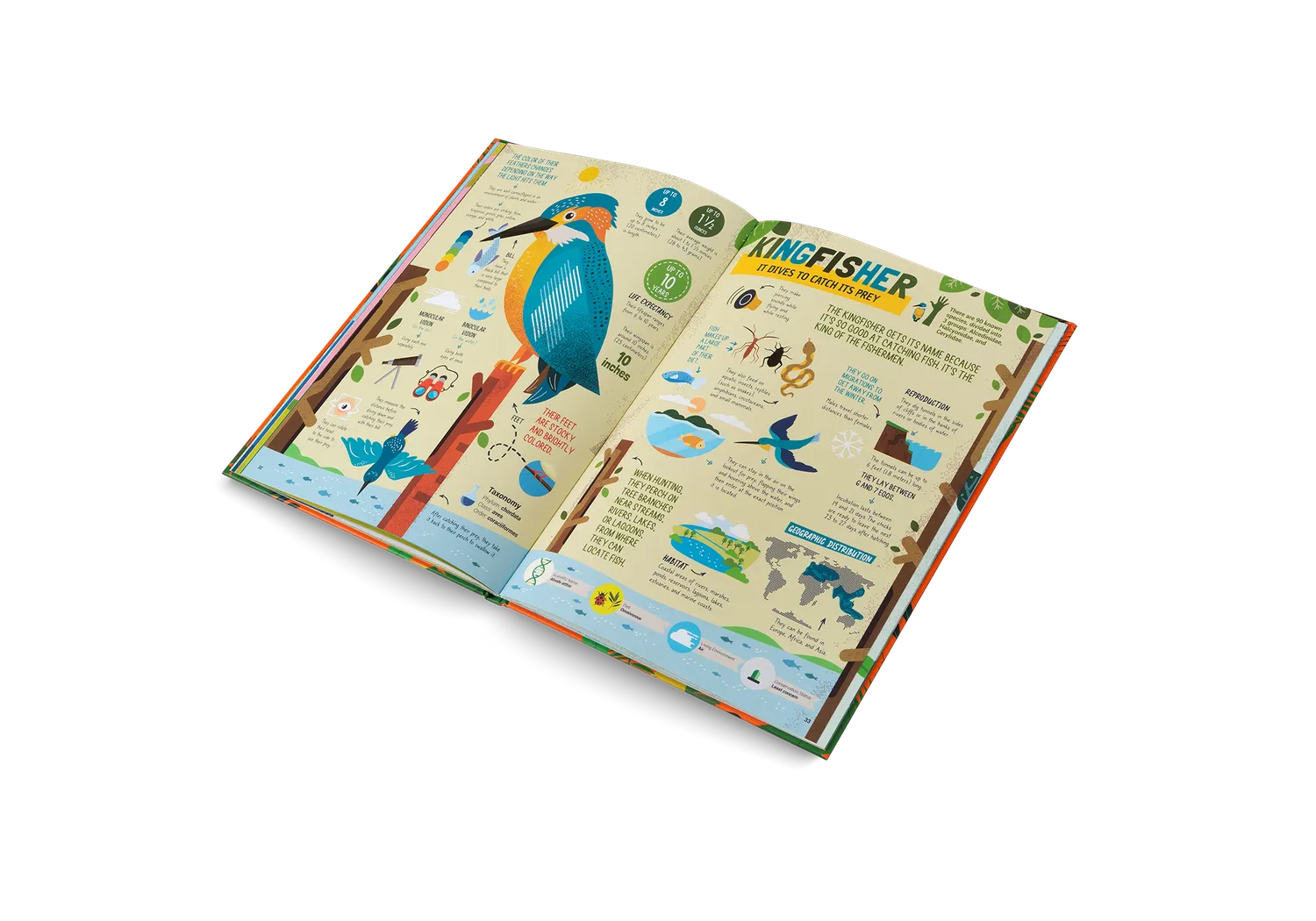 Little Gestalten The Hunters Kinderbuch ab 7 Jahre Raubtiere