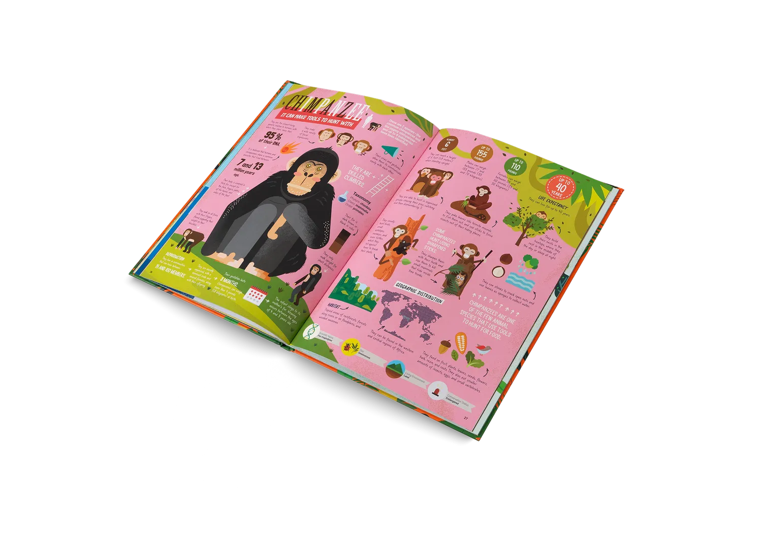 Little Gestalten The Hunters Kinderbuch ab 7 Jahre Raubtiere