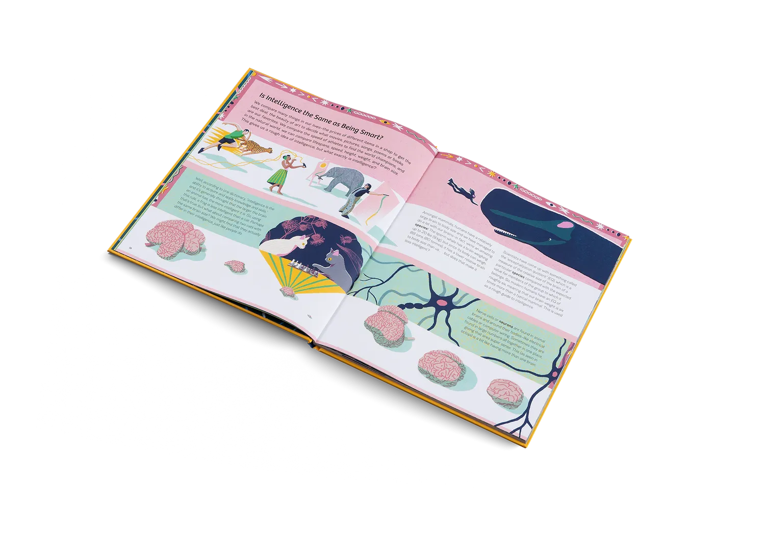 Gestalten Smart Animals Kinderbuch ab 5 Jahren