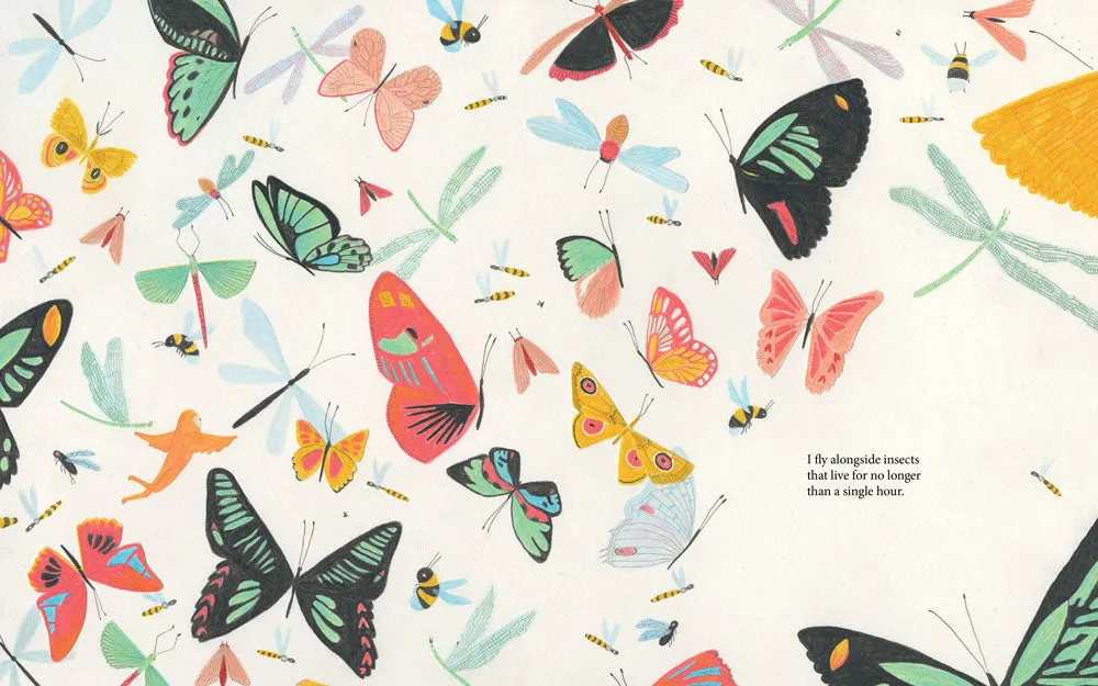 Little Gestalten I am Life Bilderbuch 5-7 Jahre