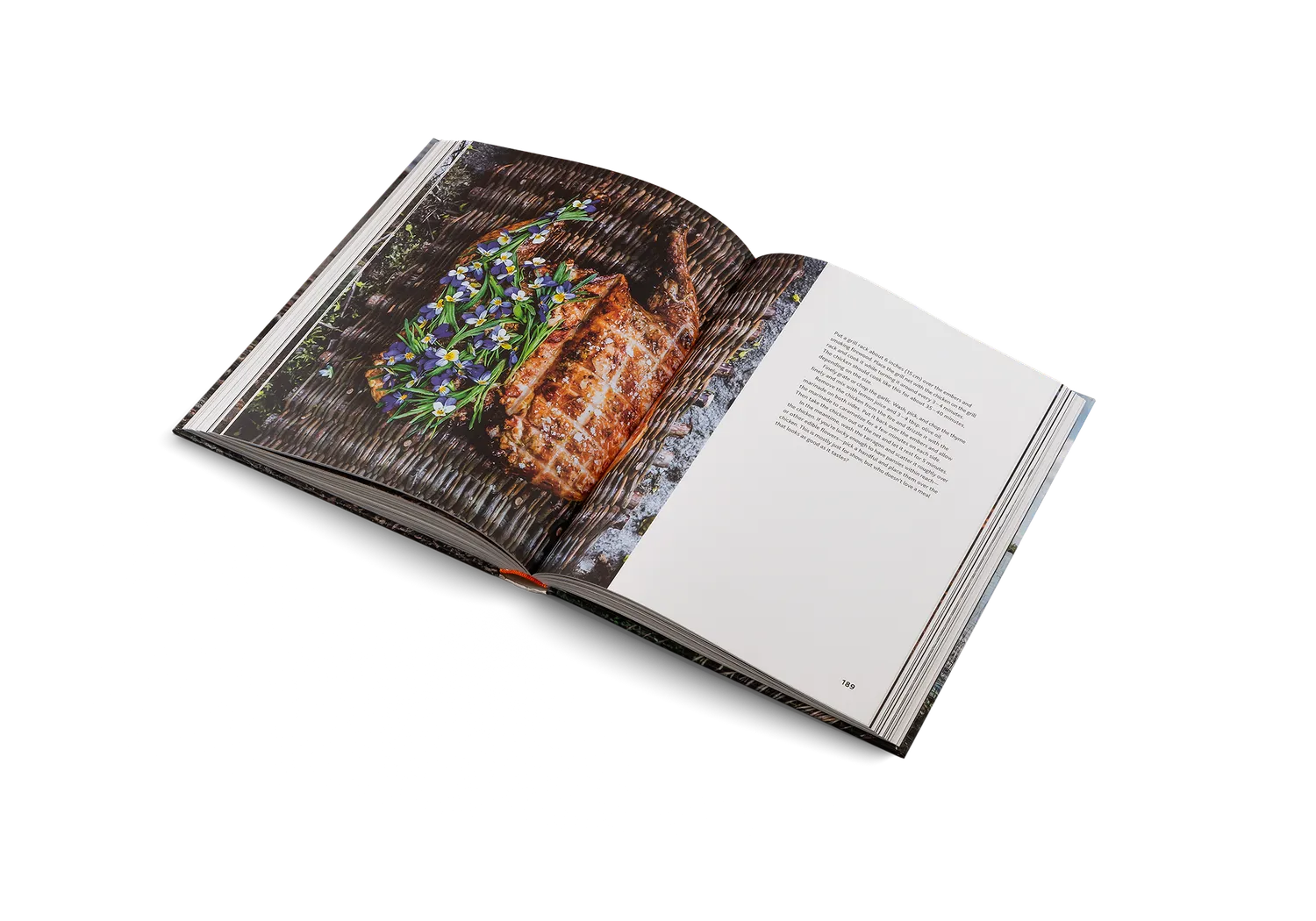 Gestalten Cooking on Fire Kochbuch Lagerfeuer Grillen