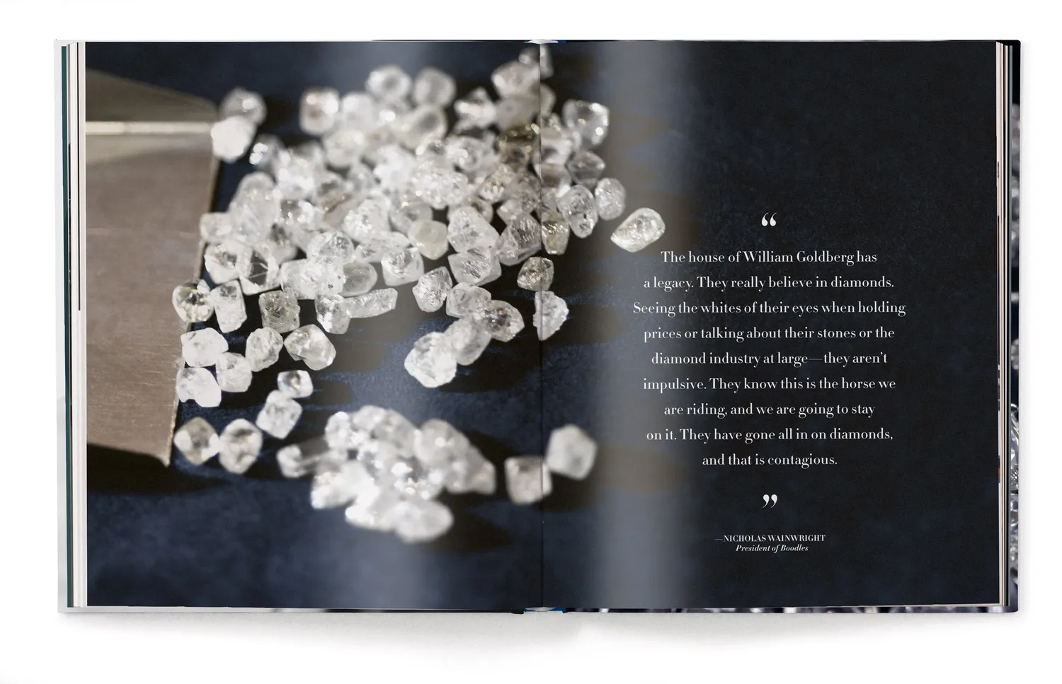 teNeues William Goldberg Way Schmuck Bildband gebunden