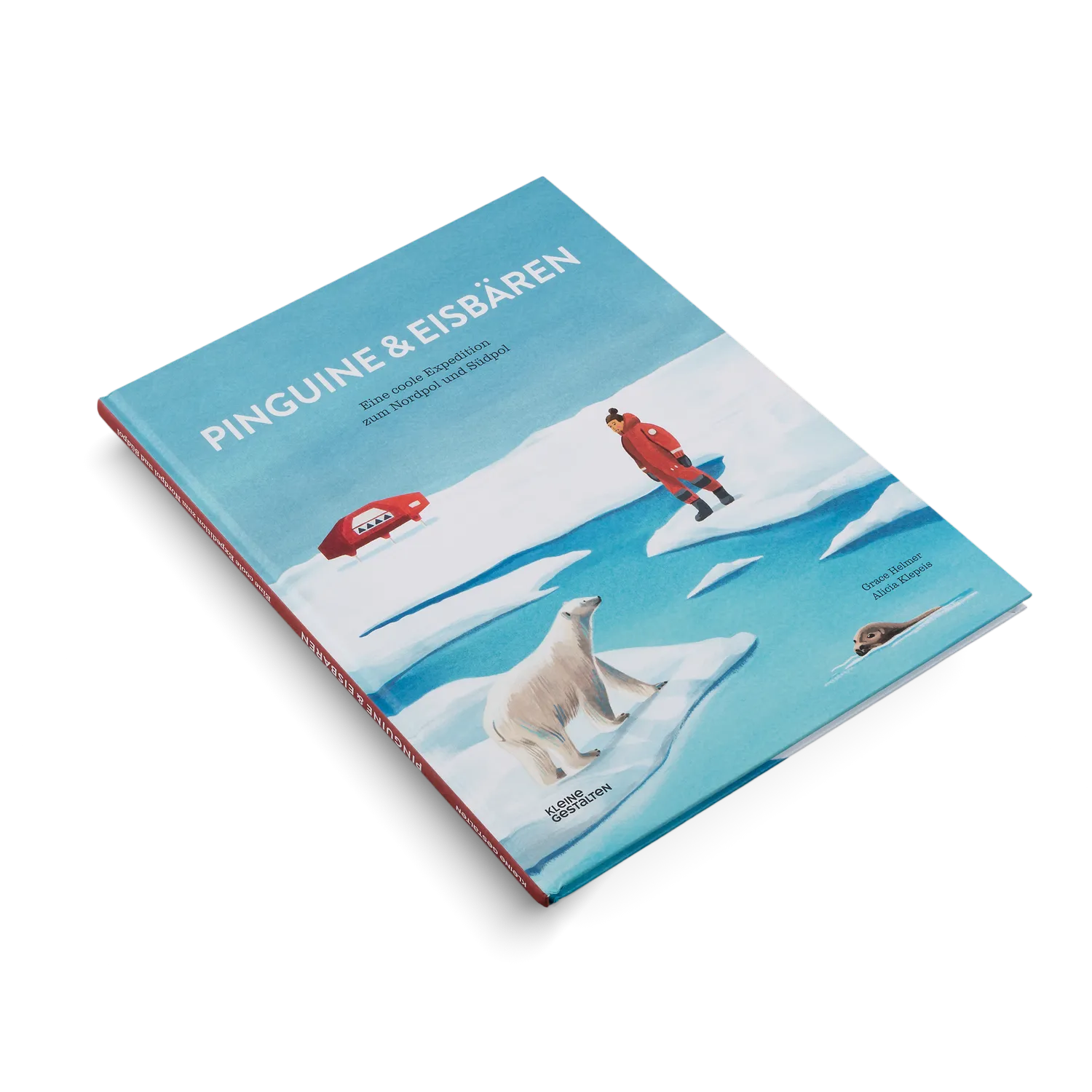 Kleine Gestalten Pinguine und Eisbären Sachbuch ab 5 Jahren