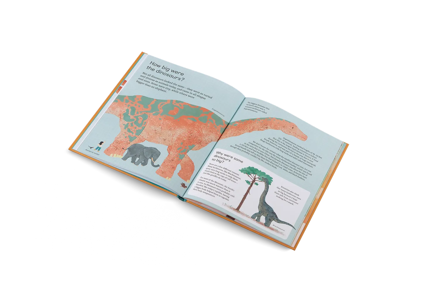 Gestalten Ask Me About Dinosaurs Kinderbuch Dino-Fragen