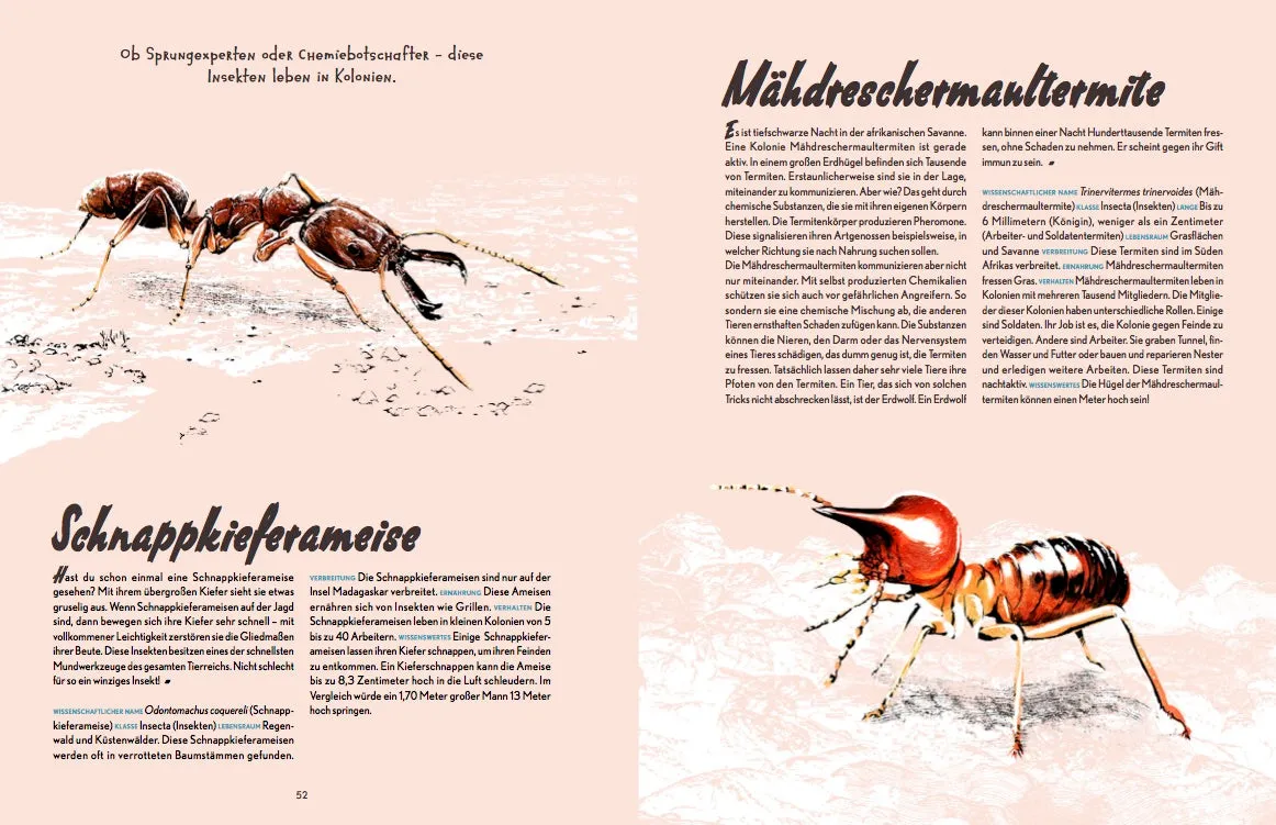 Gestalten Little Gestalten Auf Safari! Kinderbuch Tiere
