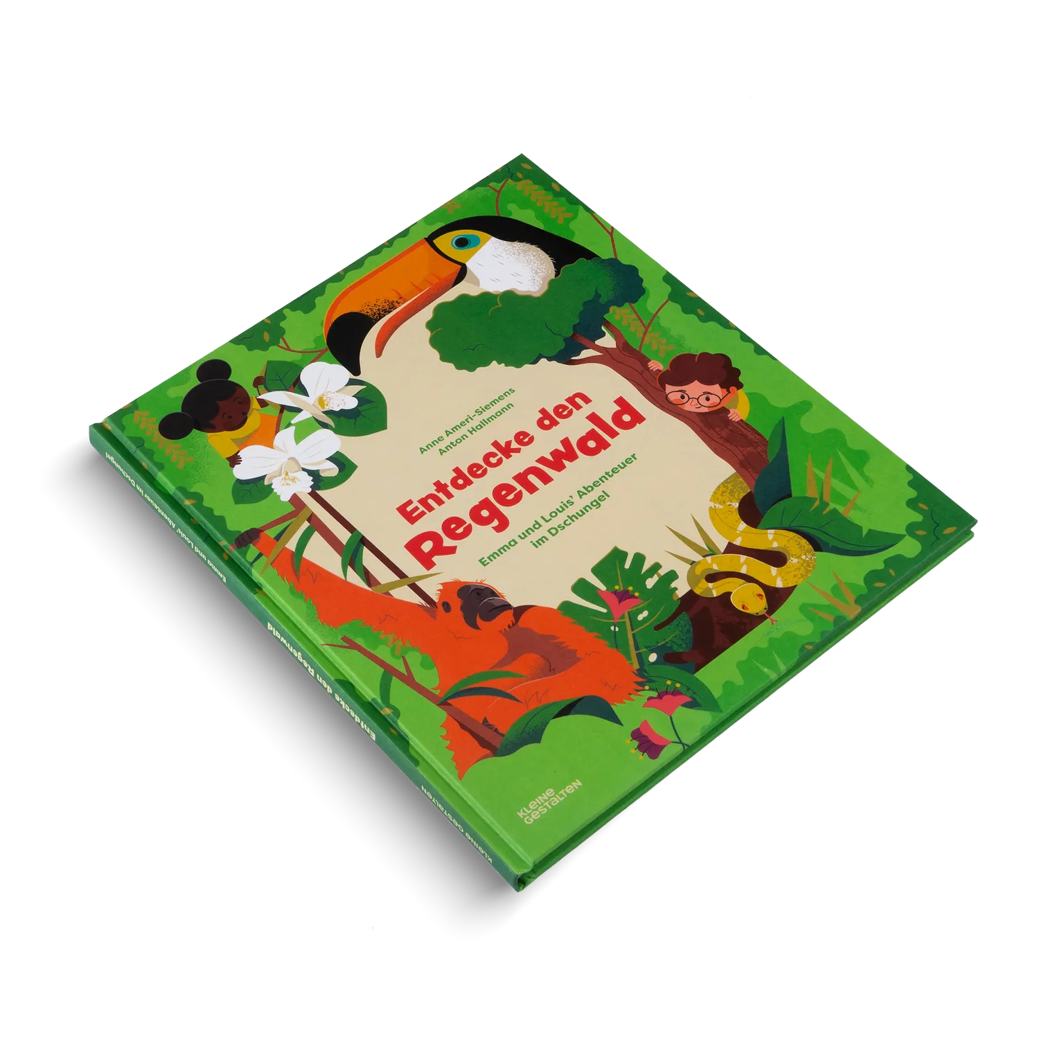 Kleine Gestalten Entdecke den Regenwald Sachbuch 7-11 Jahre