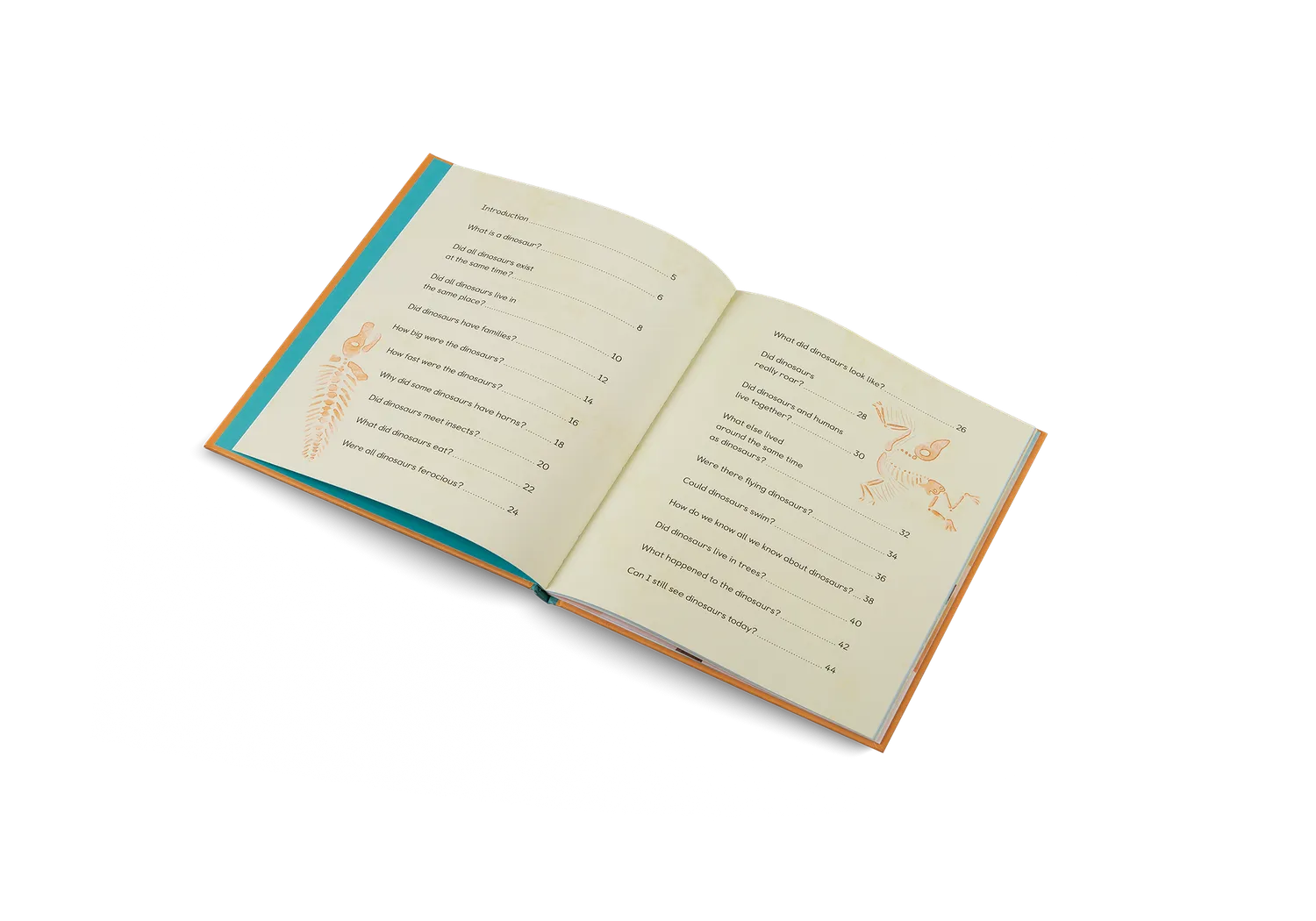 Gestalten Ask Me About Dinosaurs Kinderbuch Dino-Fragen