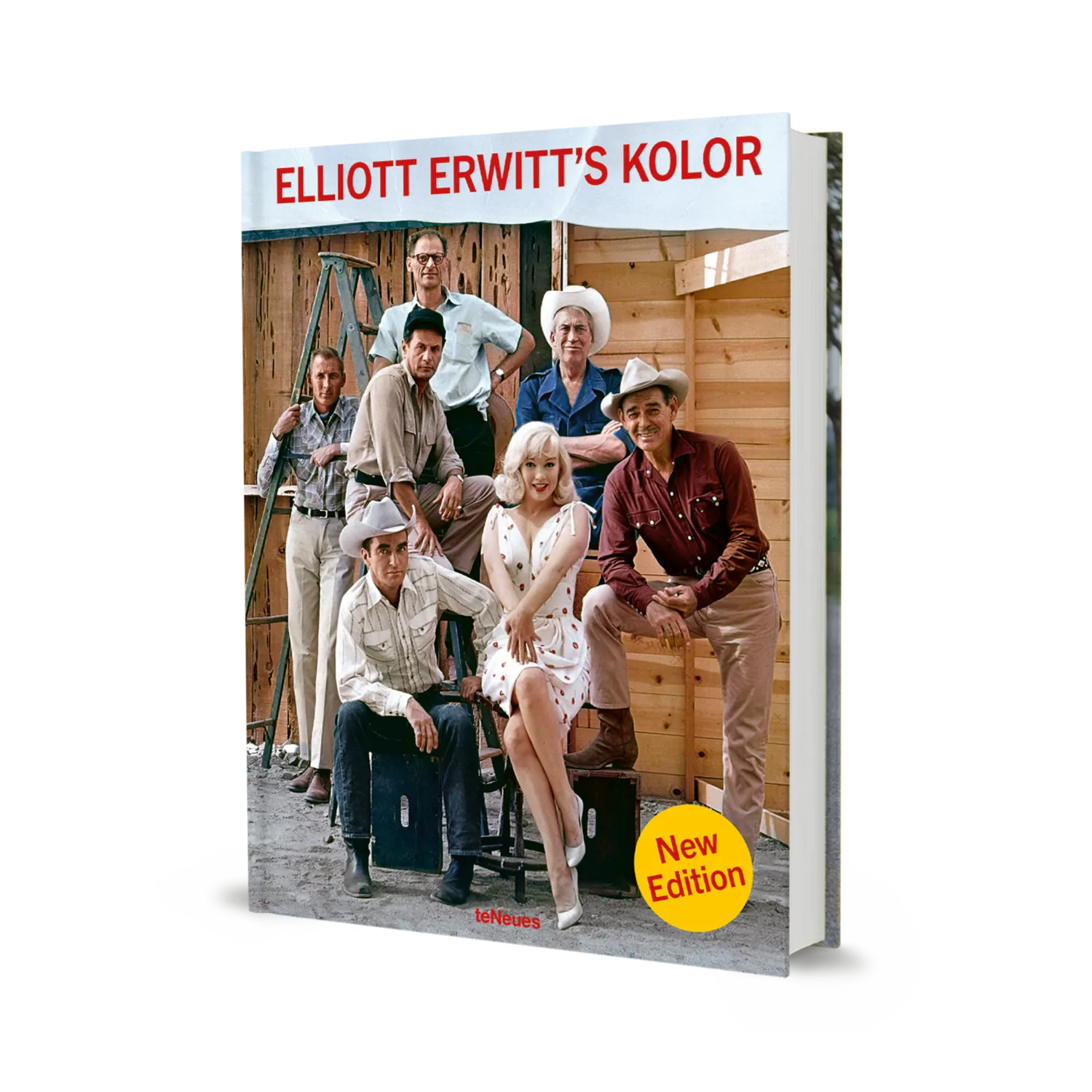 Gestalten Elliott Erwitt's Kolor Bildband Farbfotografie