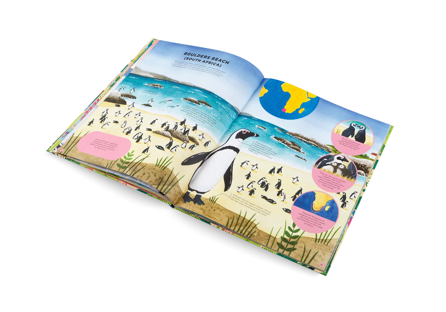 Little Gestalten Animals Everywhere Kinderbuch Artenvielfalt 7 Jahre