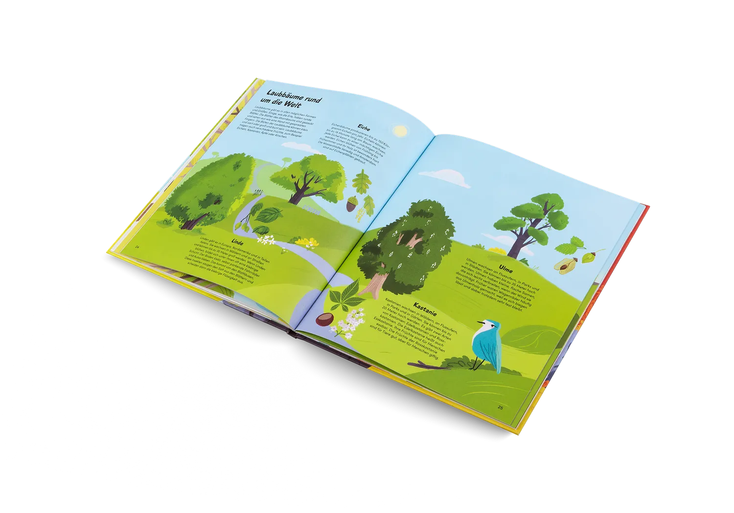 Gestalten Das kleine Buch der Bäume Kinderbuch Natur