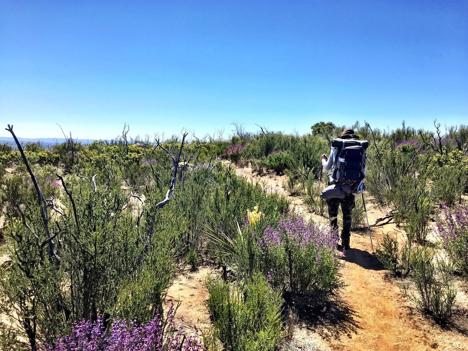 Gestalten The Great Alone Bildband Pacific Crest Trail