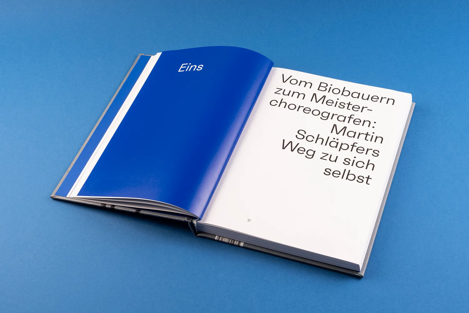 Seemann Henschel Mein Tanz mein Leben Buch Schlaepfer