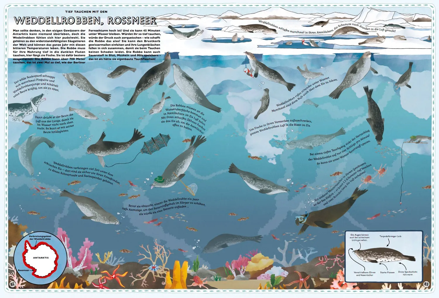 Little Gestalten Der große Atlas der Tiere Sachbuch Kinder